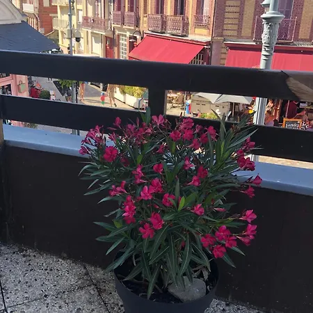 Lejlighed Cosy Avec Grande Terrasse Vue Sur *